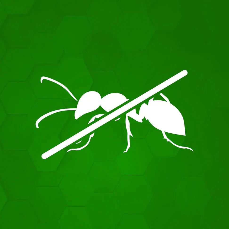 Moyen contre les fourmis Image
