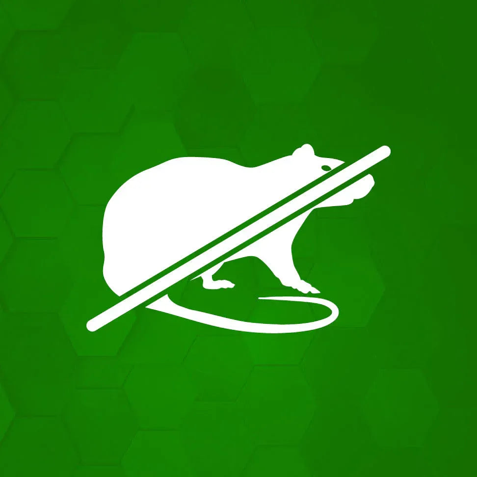Souris et rats Image