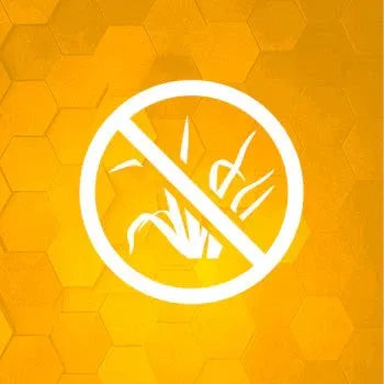 Herbicides Image