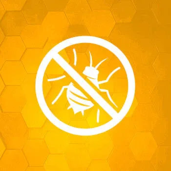 Insecticides Image